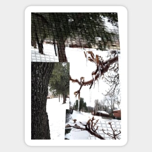 Photo mash up of the day it snowed. February 2022 Sticker